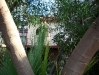 residence-campomarino-levante05